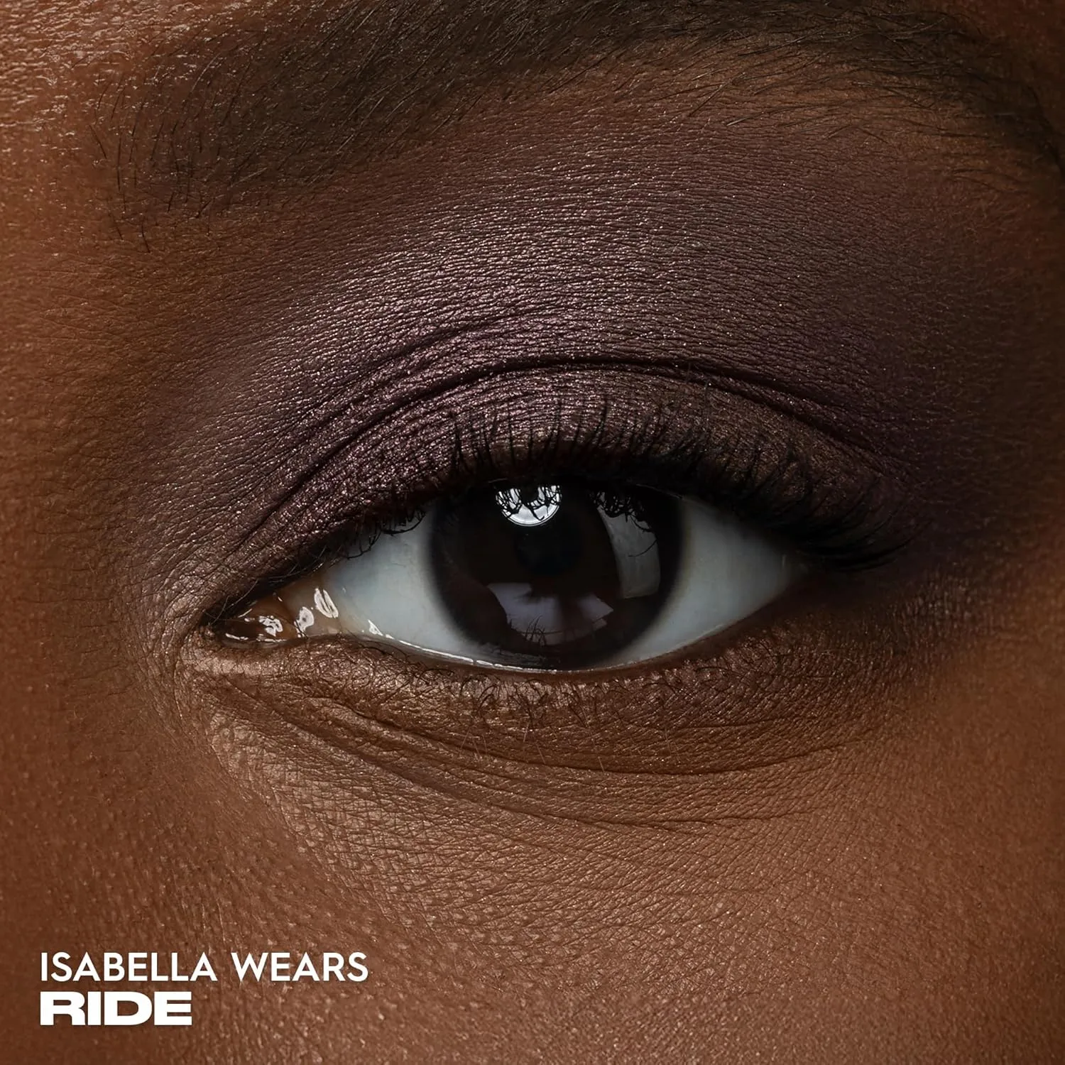Компактные тени для век Urban Decay 24/7 Longwear, стойкие, с шиммером, глубокий коричневый с фиолетовым отливом — фото 2