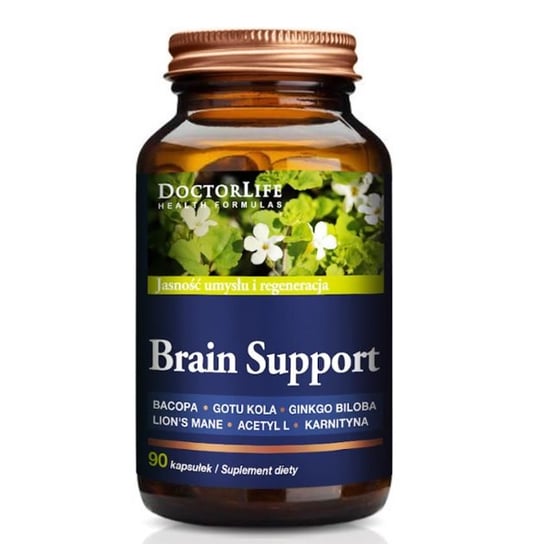 

Doctor Life, Brain Support 4 растительных экстракта и формы магния, 90 капсул