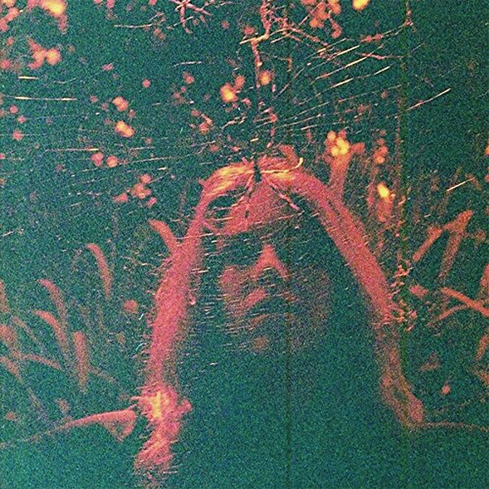 

Диск CD Peripheral Vision - Turnover