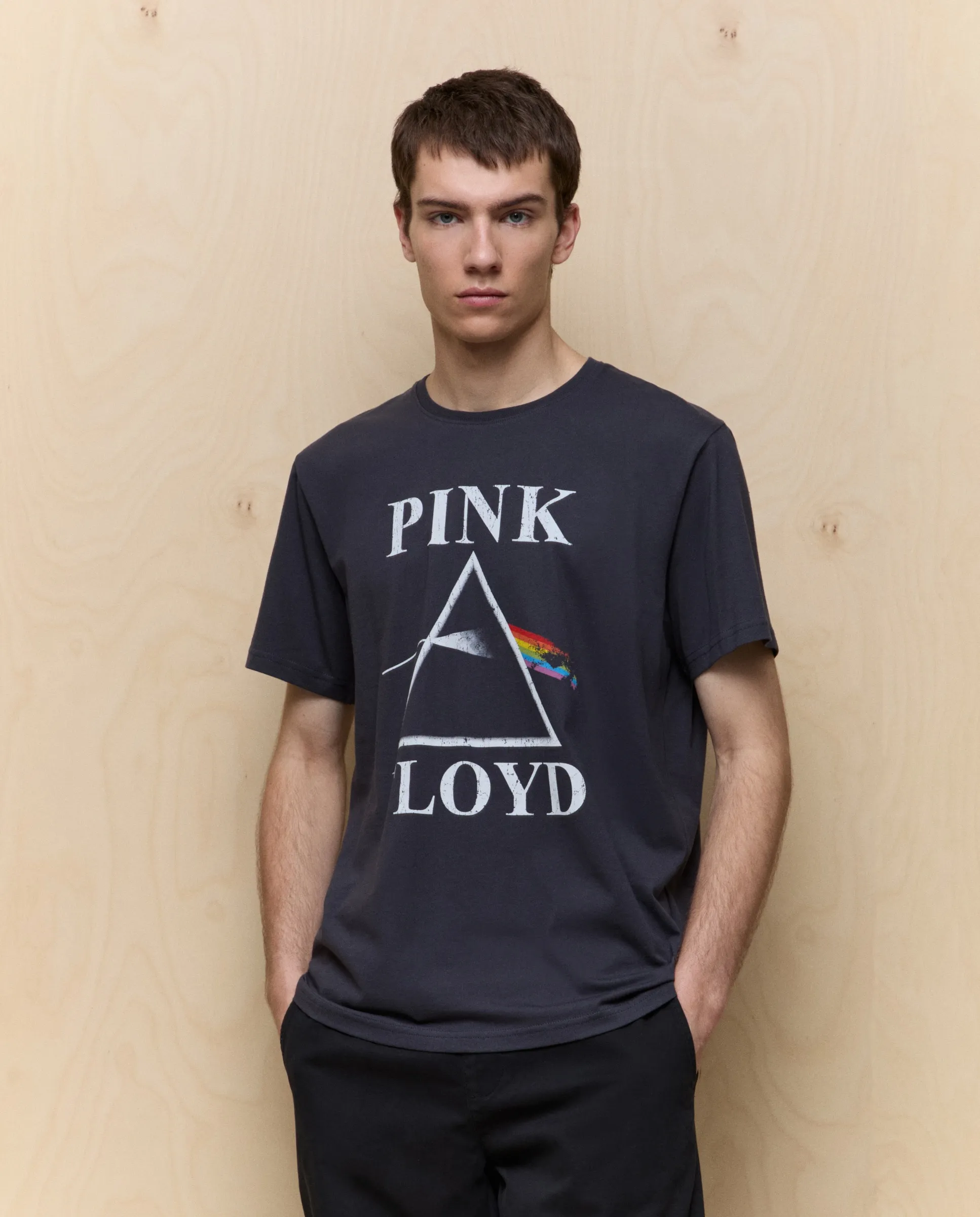 

Футболка мужская с коротким рукавом Pink Floyd Easy Wear, антрацитовый
