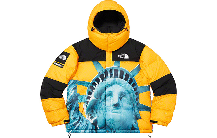 

Пуховик North Face X FW19 унисекс Supreme