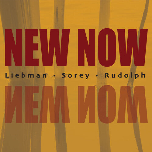 

CD диск Liebman, Dave / Rudolph, Adam / Sorey, Tyshawn: New Now