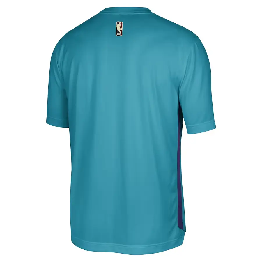 Jordan Футболка NBA Charlotte Hornets мужская blue green — фото 3