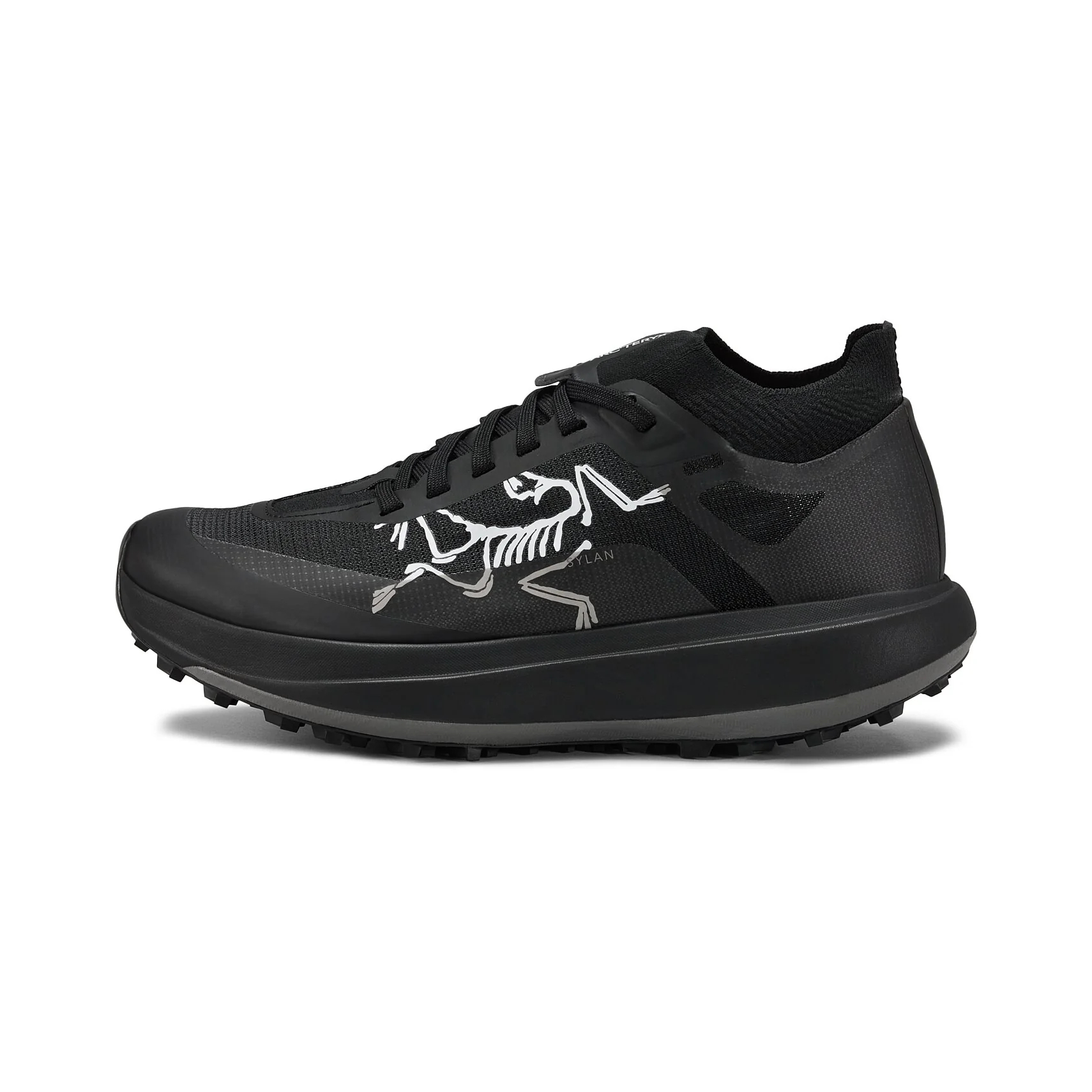Arcteryx Кроссовки женские SYLAN PRO Low Top, черные