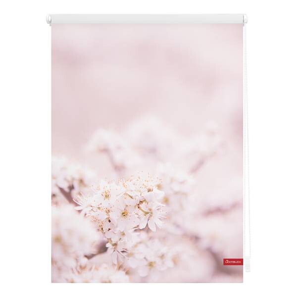 

Рулонные шторы Lichtblick Kirschblüten, 120x150x6 см цвет rosa/weiß