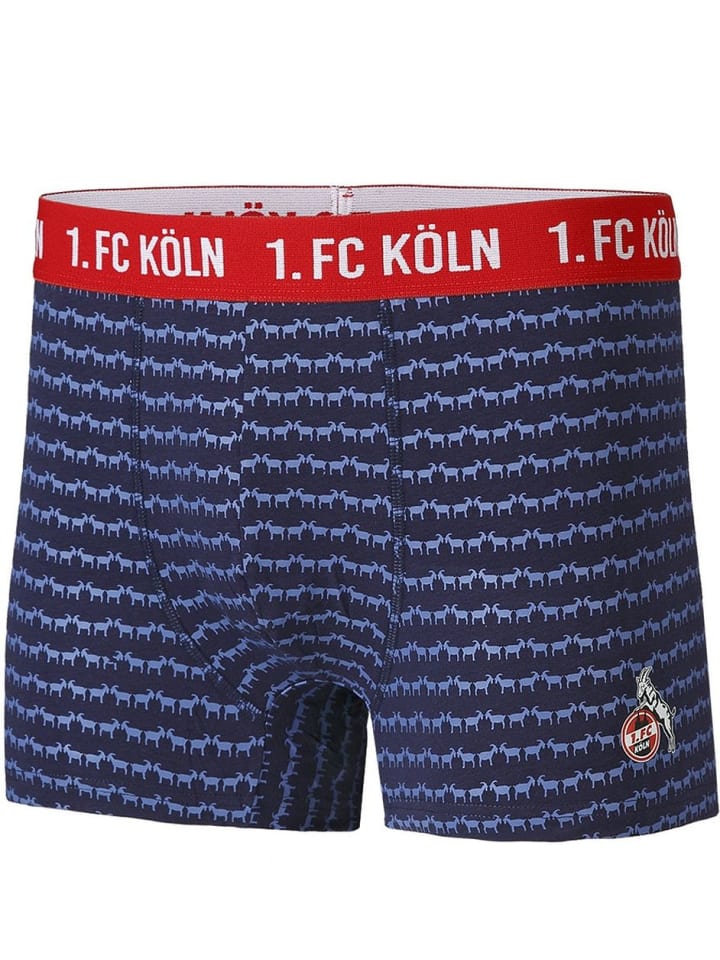 

Боксеры Fußballverein 1. FC Köln, синий