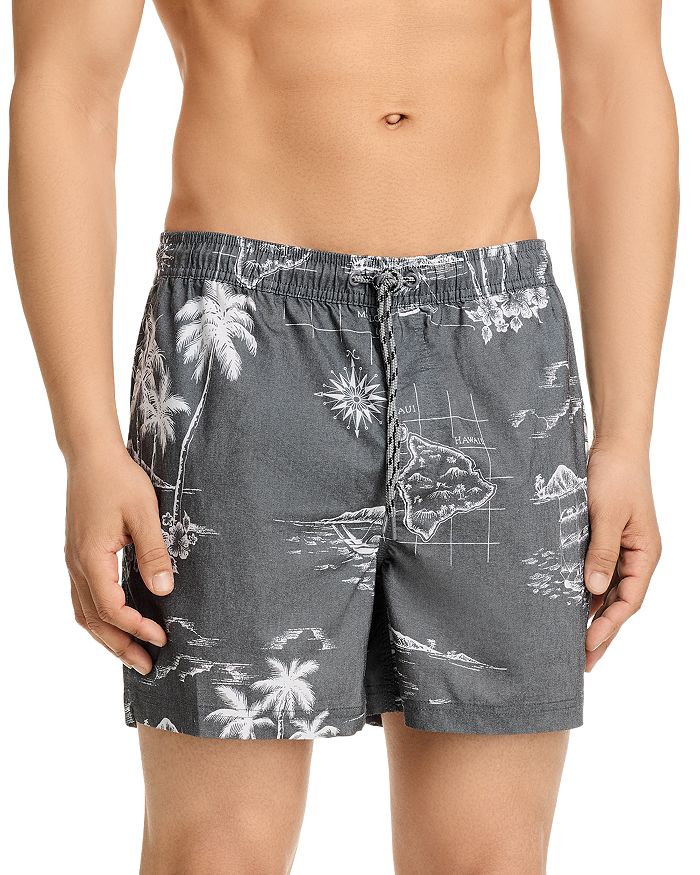

Шорты для плавания La Brea Paradise Washed 5" Rails, серый