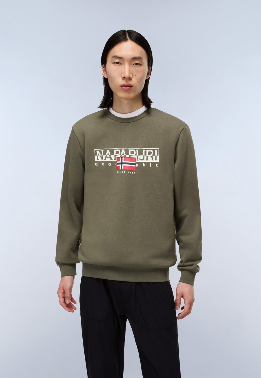 

Толстовка Napapijri AYLMER WINT, Tea Leaf Ga/Dark Green