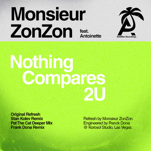 

CD диск Monsieur Zonzon / Antoinette: Nothing Compares 2 U
